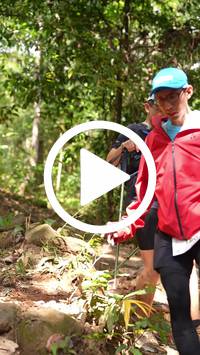 BIB:  <button type="button" onclick="openModal(27610814)" class="btn btn-primary btn-sm float-right" data-toggle="modal" data-target=".modal-high-quality">
                <i class="fa fa-download"></i> Download
                </button>